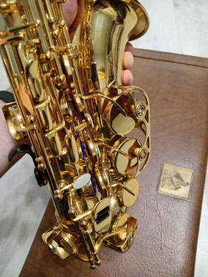 c1_20240306_15540892.jpeg