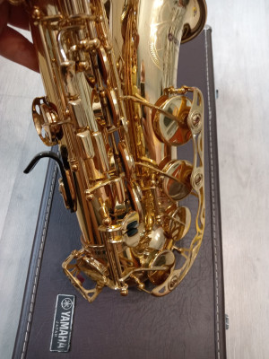 c1_20240607_16355340.jpeg