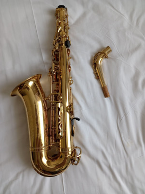 c1_20240609_17240868.jpeg