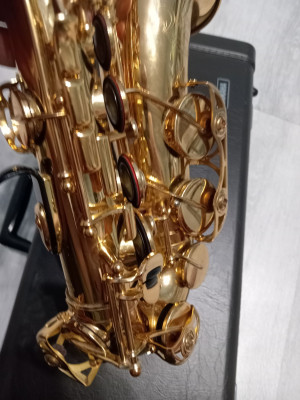 c1_20240620_13284093.jpeg
