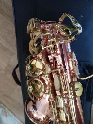 c1_20240815_08393198.jpeg