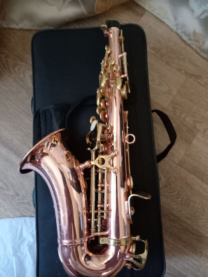 c1_20240815_08393140.jpeg