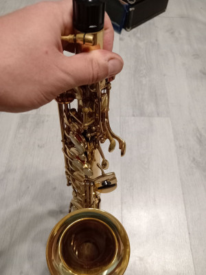 c1_20240828_18485994.jpeg