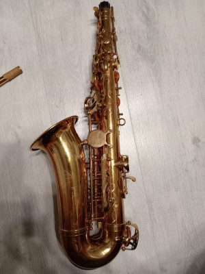 c1_20240911_09302651.jpeg