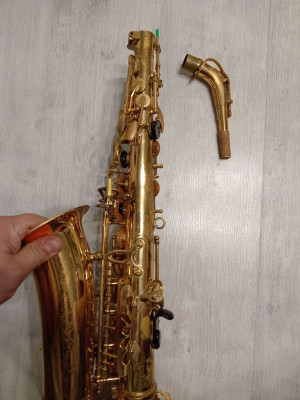 c1_20240916_20210498.jpeg