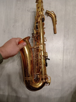 c1_20240916_20210359.jpeg