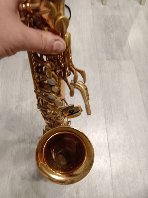 c1_20240916_20210158.jpeg