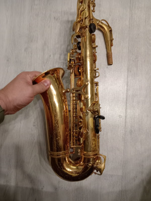 c1_20240916_20210289.jpeg