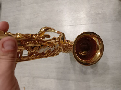 c1_20240917_18324560.jpeg