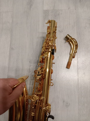 c1_20240917_18324187.jpeg