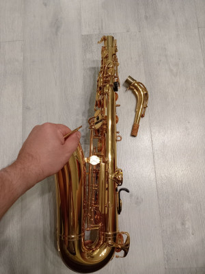 c1_20240917_18324112.jpeg