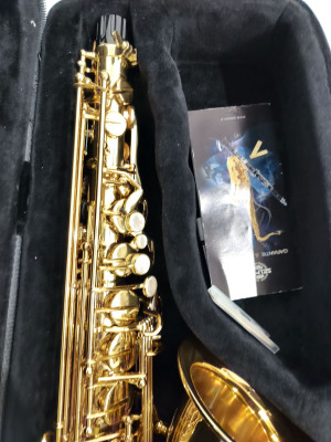 c1_20241010_16595407.jpeg