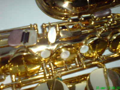DSC00721.JPG