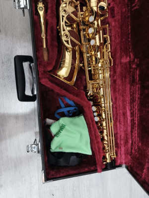c1_20250425_12455017.jpeg