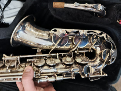 c1_20250430_10512613.jpeg