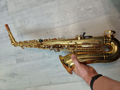 c1_20250610_16243701.jpeg