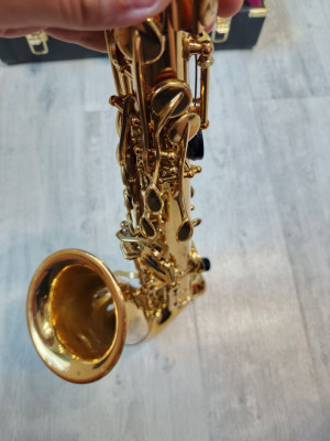 c1_20250627_10274451.jpeg
