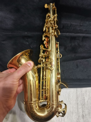 c1_20250723_16222947.jpeg