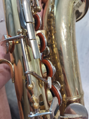 c1_20250728_14020910.jpeg