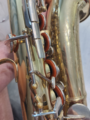 c1_20250728_14020808.jpeg