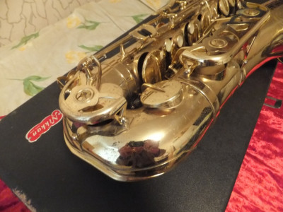 DSCF3537.JPG