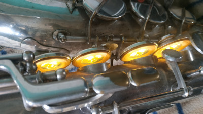 IMG_20210730_165909.jpg