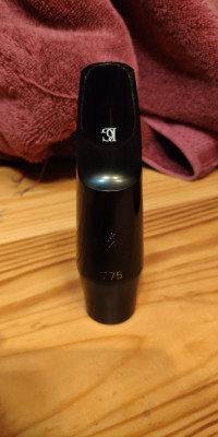 T75 (8).jpg