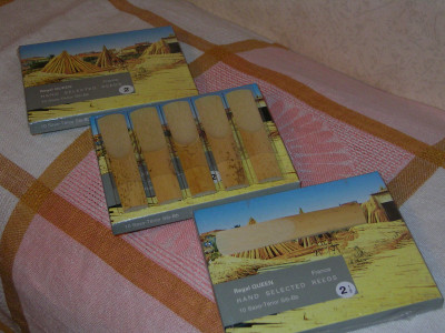 PICT2241.JPG