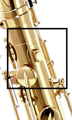 yanagisawa .jpg