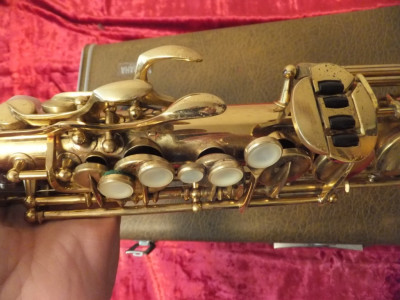 DSCF4007.JPG