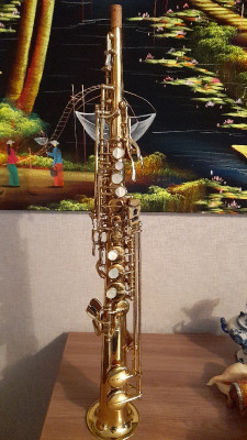 20220927_122643.jpg