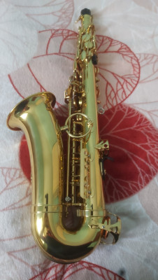 20201225_150439.jpg